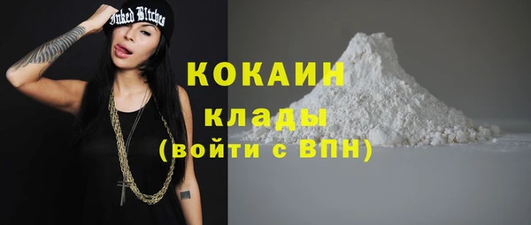 хмурый Алзамай