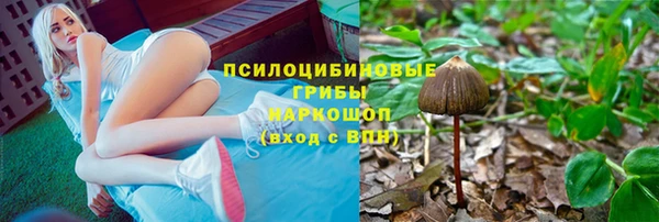 марихуана Абаза