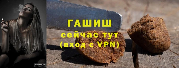 хмурый Алзамай